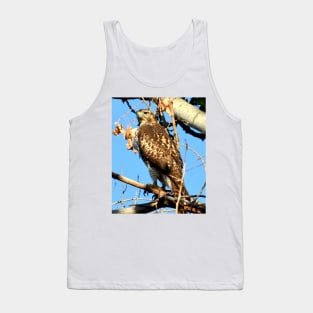 Red Tailed Hawk in Tree Tank Top